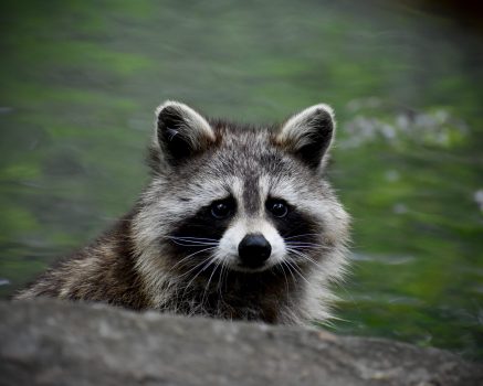 mgr Agnieszka Jałowiec - psycholog, psychoterapeuta