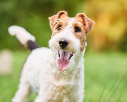 mgr Joanna Michałowska - psycholog, psychoterapeuta