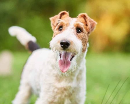 mgr Joanna Michałowska - psycholog, psychoterapeuta