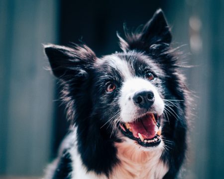 mgr Kaja Fronczyk - psychoterapeuta dorosłych, dzieci i młodzieży, psycholog