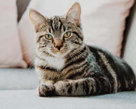 lek. med. Katarzyna Grysak - specjalista psychiatra dziecięcy