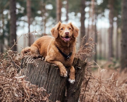 mgr Kinga Podolska - psychoterapeuta