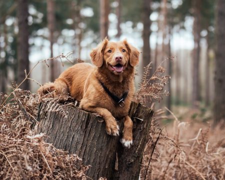 mgr Kinga Podolska - psychoterapeuta