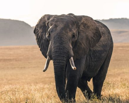 mgr Marta Parczewska - psycholog dziecięcy