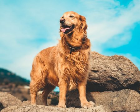 Monika Lusowicz-Pieniążek - psycholog dzieci i młodzieży