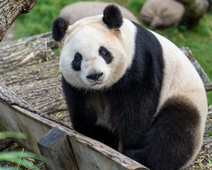 mgr Paula Teper - psycholog, psychoterapeuta