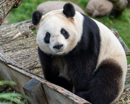 mgr Paula Teper - psycholog, psychoterapeuta