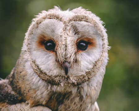 mgr Katarzyna Susz - psychoterapeuta dorosłych, psycholog