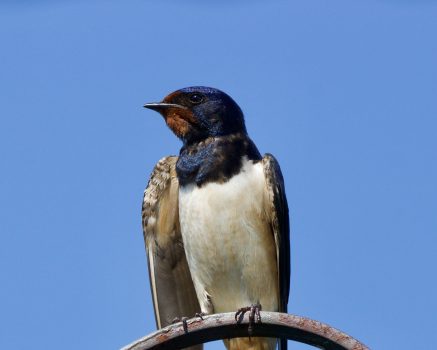 lek. med. Malwina Błaszczyk - specjalista psychiatra