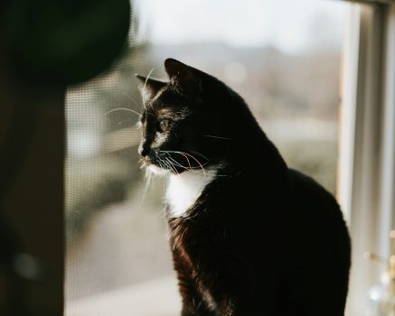 mgr Sylwia Godyń - psycholog