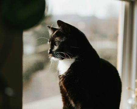 mgr Sylwia Godyń - psycholog